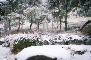 2025년 R[라파엘]관 북문 계단길 성모상 관련사진