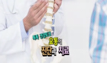 요통의 진단과 치료