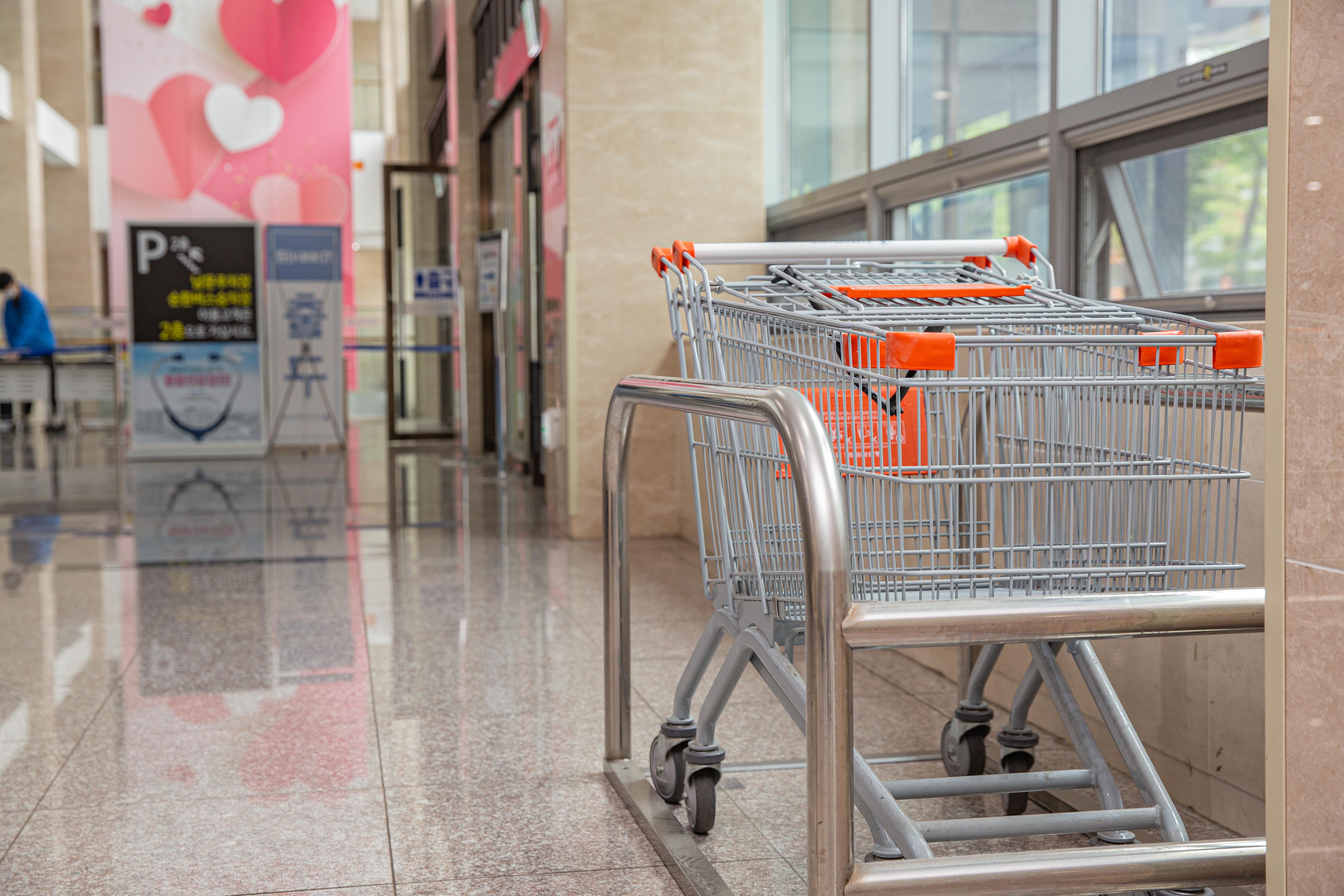 운반용 카트기 대여 이미지