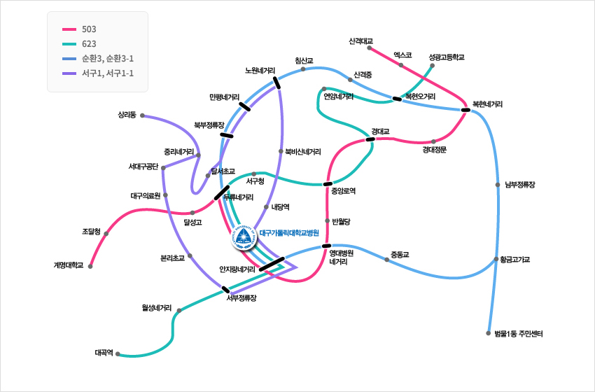 빨강색선(503) : 계명대학교-조달청-달성고-두류네거리-대구가톨릭대학교병원-안지랑네거리-영대병원네거리-반월당-중앙로역-경대교-경대정문-복현네거리-엑스코-산격대교, 연두색선(623) : 대곡역-월성네거리-서부정류장-대구가톨릭대학교병원-두류네거리-서구청-중앙로역-경대교-연암네거리-복현오거리-성광고등학교, 하늘색선(순환3, 순환3-1) : 범물1동 주민센터-황금고가교-남부정류장-복현네거리-복현오거리-산격중-침산교-노원네거리-만평네거리-북부정류장-대구가톨릭대학교병원-영대병원네거리-중동교, 보라색선(서구1, 서구1-1) : 상리동-중리네거리-달서초교-만평네거리-노원네거리-북비산네거리-내당역-대구가톨릭대학교병원-서부정류장-본리초교-대구의료원-서대구공단 노선안내